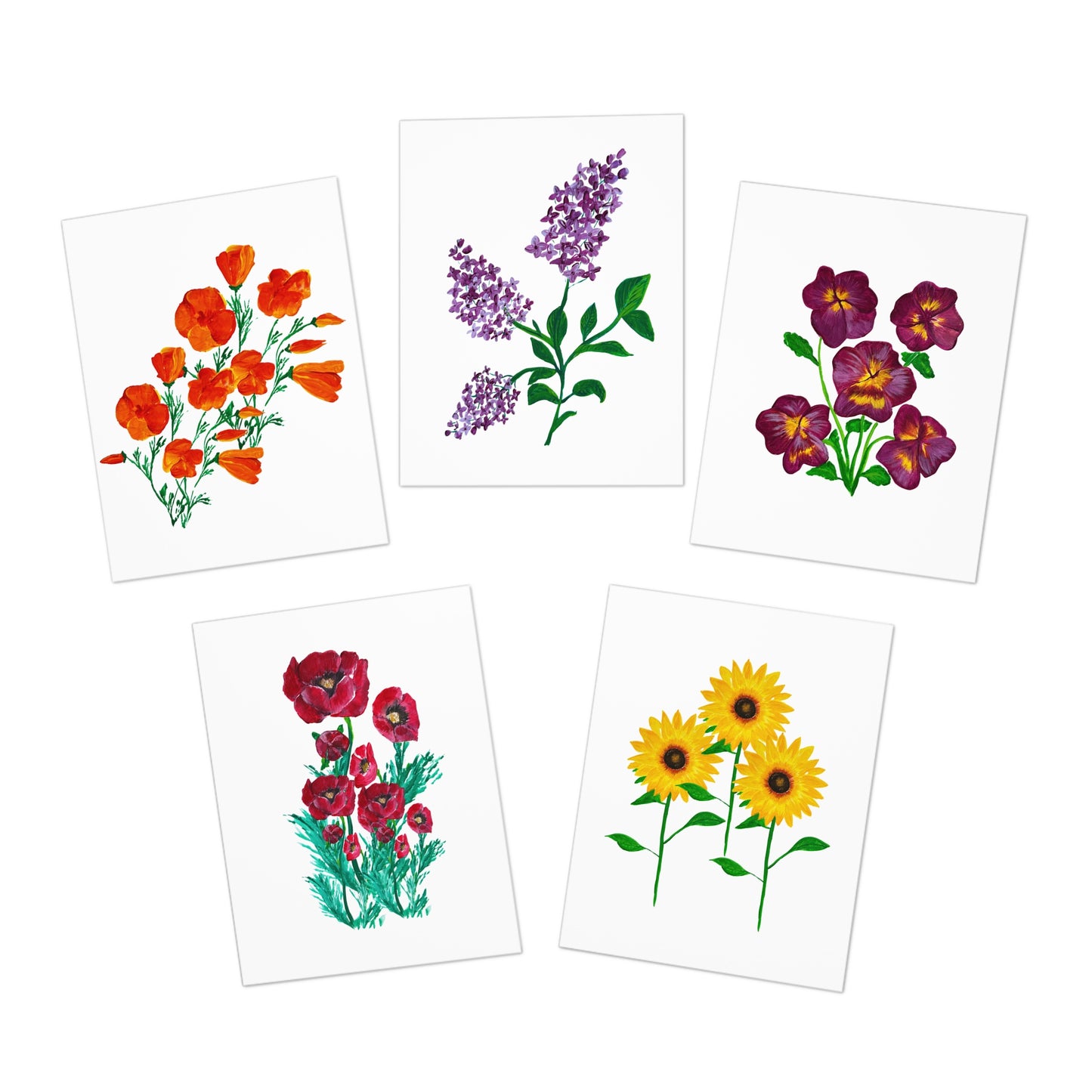 Greeting Card Set - Floral Designs with California Poppies, Pansies, Poppies, Lilacs, and Sunflowers (5-Pack)