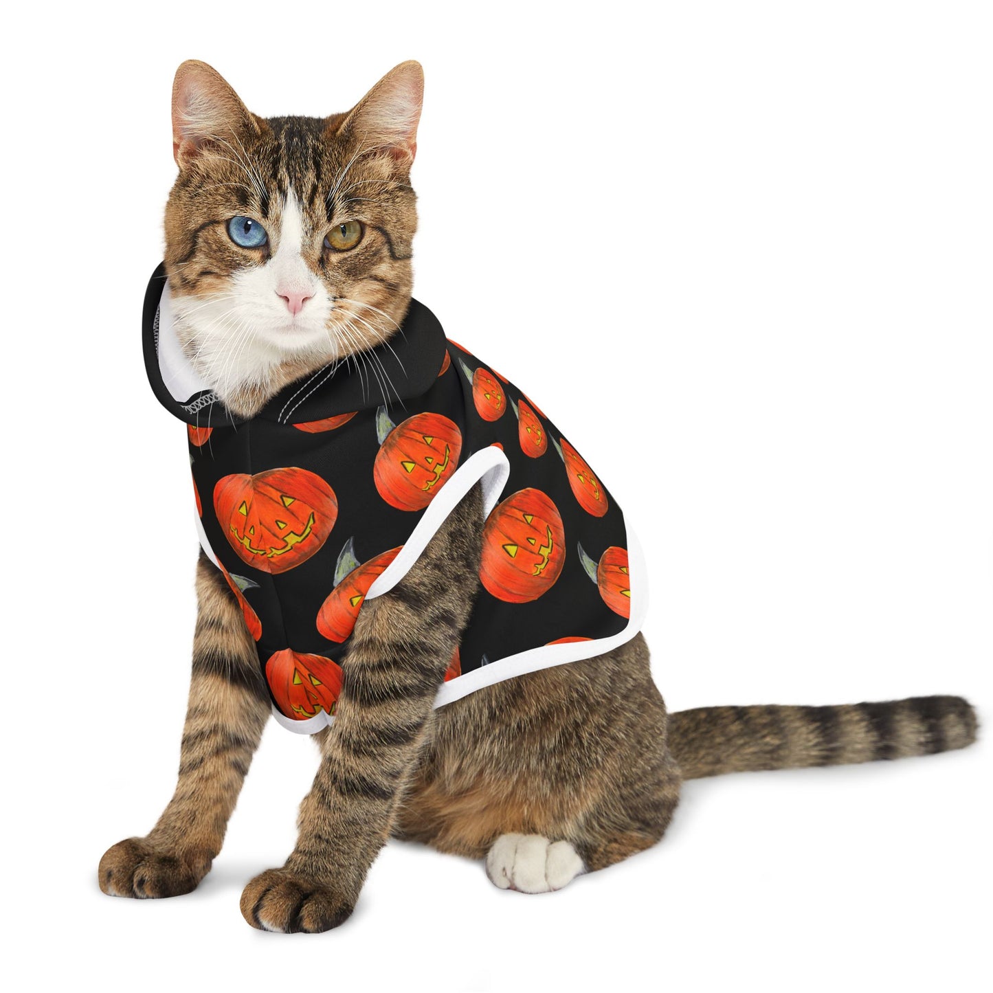 Halloween Pet Hoodie, Pumpkin Dog Outfit, Cozy Dog Apparel, Holiday Pet Wear, Autumn Dog Clothing