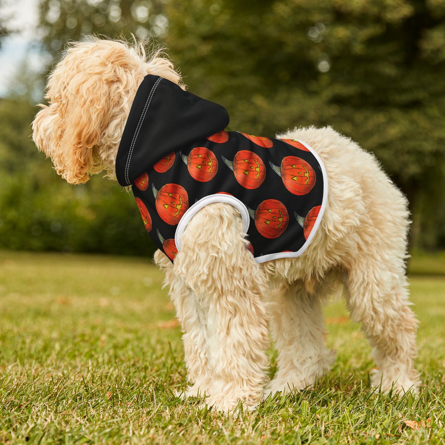 Halloween Pet Hoodie, Pumpkin Dog Outfit, Cozy Dog Apparel, Holiday Pet Wear, Autumn Dog Clothing
