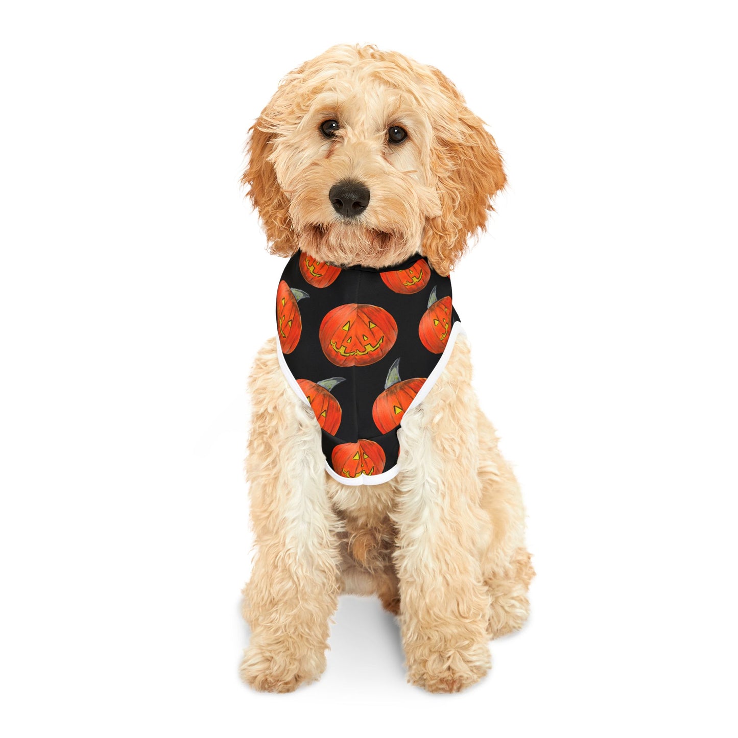 Halloween Pet Hoodie, Pumpkin Dog Outfit, Cozy Dog Apparel, Holiday Pet Wear, Autumn Dog Clothing