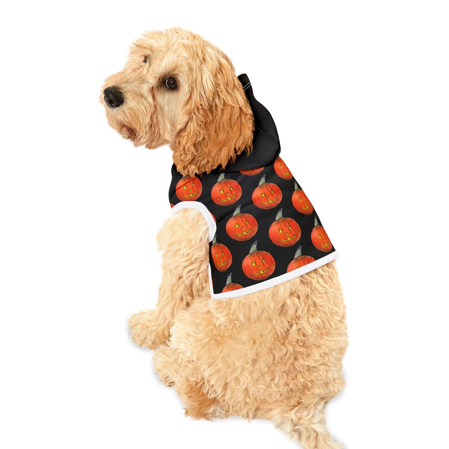 Halloween Pet Hoodie, Pumpkin Dog Outfit, Cozy Dog Apparel, Holiday Pet Wear, Autumn Dog Clothing